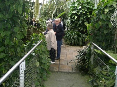Foto 9 aus dem Album „Besuch der Ega Erfurt 2017“