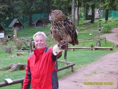 Foto 2 aus dem Album „Besuch der Falknerei 2015“