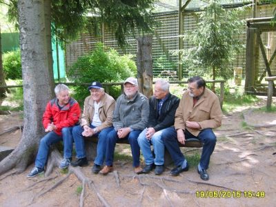 Foto 8 aus dem Album „Besuch der Falknerei 2015“