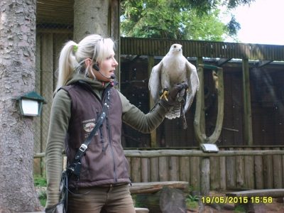 Foto 7 aus dem Album „Besuch der Falknerei 2015“