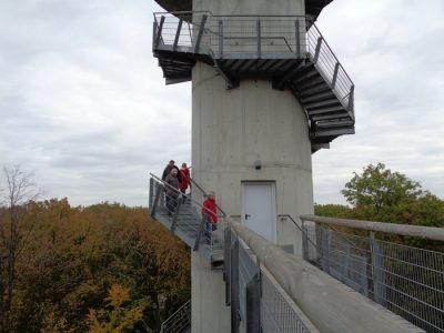 Foto 3 aus dem Album „Fahrt zum Baumkronenpfad 2016“