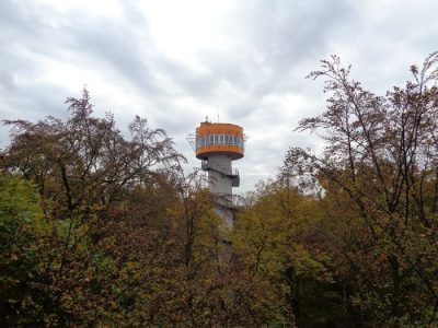 Foto 4 aus dem Album „Fahrt zum Baumkronenpfad 2016“