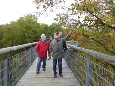 Foto 11 aus dem Album „Fahrt zum Baumkronenpfad 2016“