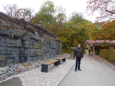 Foto 7 aus dem Album „Fahrt zum Baumkronenpfad 2016“
