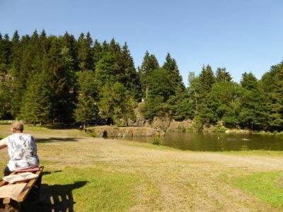 Foto 5 aus dem Album „Fahrt zum Bergsee an der Ebertswiese 2015“