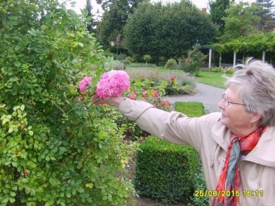 Foto 5 aus dem Album „Fahrt zum Rosengarten in Bad Langensalza 2015“