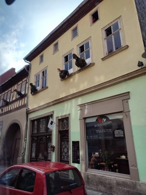 Foto 4 aus dem Album „Mühlhausen, September 2024“