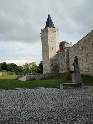 Foto 7 aus dem Album „Mühlhausen, September 2024“